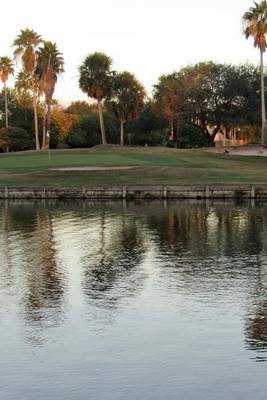 Book cover for A Beautiful View of a South Texas Resaca and Golf Course