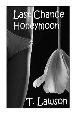 Book cover for Last Chance Honeymoon