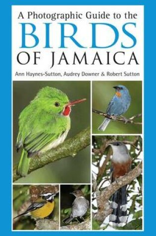Cover of A Photographic Guide to the Birds of Jamaica