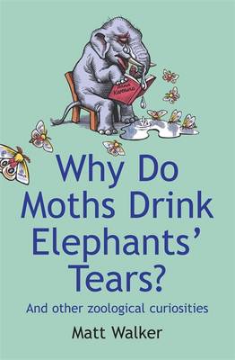 Book cover for Why Do Moths Drink Elephants' Tears?