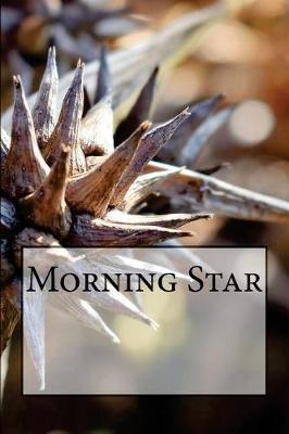 Book cover for Morning Star