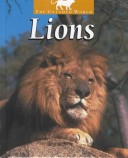 Cover of Lions