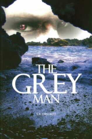 Cover of The Grey Man