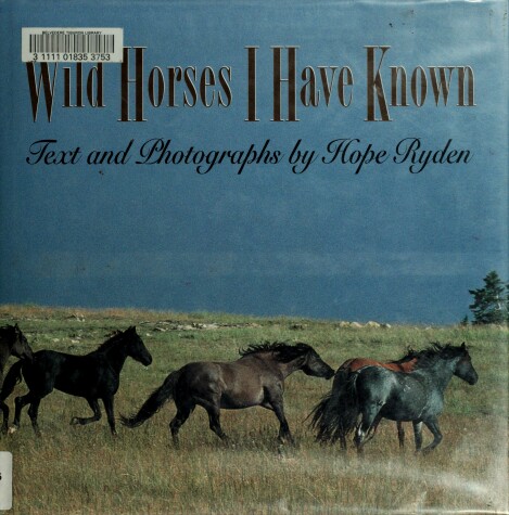 Book cover for Wild Horses I Have Known