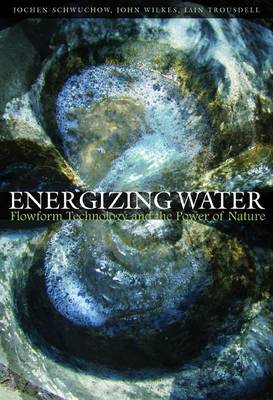 Book cover for Energizing Water