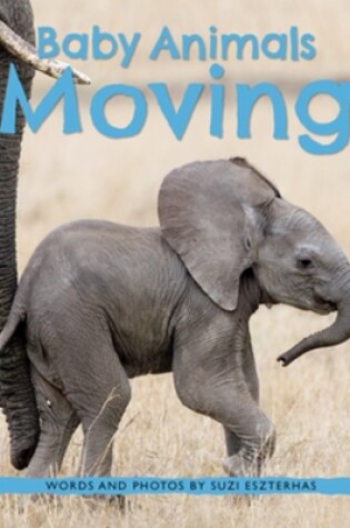 Cover of Baby Animals Moving