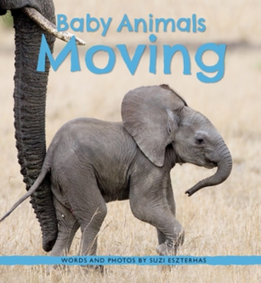 Book cover for Baby Animals Moving