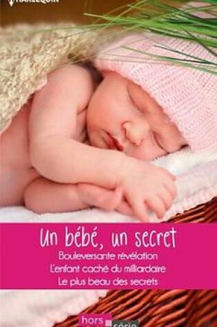 Cover of Un Bebe, Un Secret