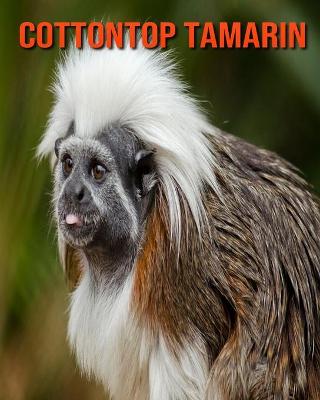 Book cover for Cottontop Tamarin