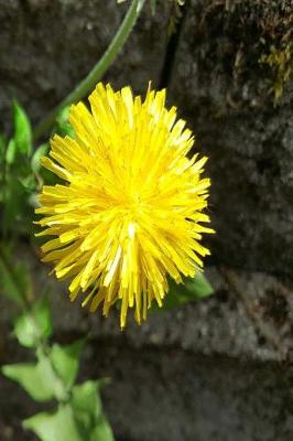 Cover of Journal Dandelion Flower Stone Wall