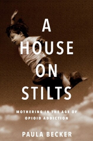 Cover of A House on Stilts