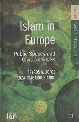 Book cover for Islam in Europe: Public Spaces and Civic Networks