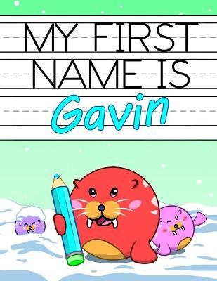 Book cover for My First Name is Gavin