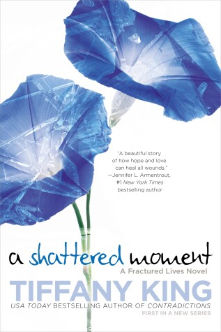 Cover of A Shattered Moment