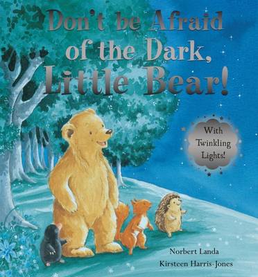 Book cover for Don't be Afraid of the Dark, Little Bear!