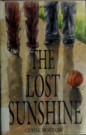 Book cover for The Lost Sunshine