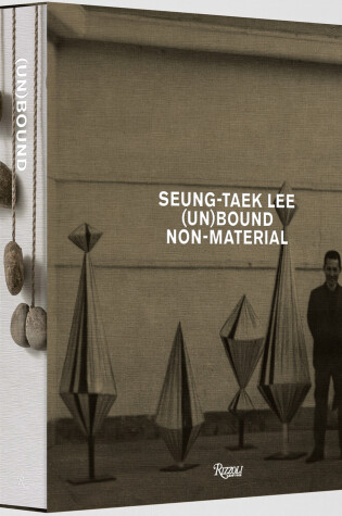 Cover of Seung-taek Lee