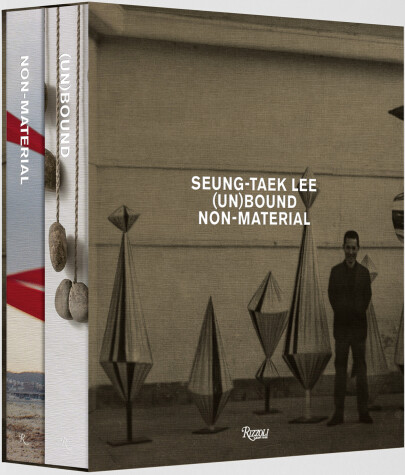 Book cover for Seung-taek Lee