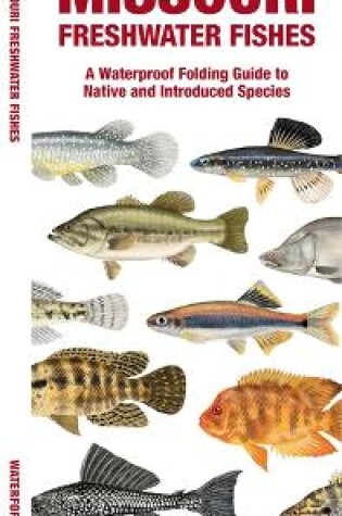 Cover of Missouri Freshwater Fishes