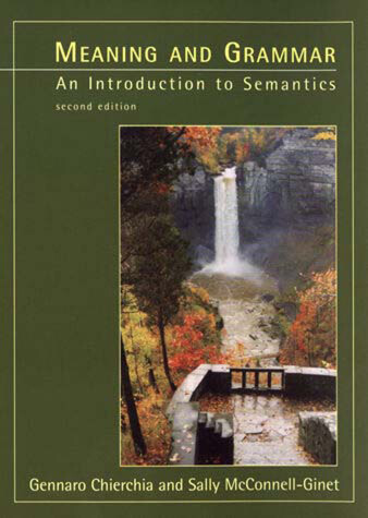 Book cover for Meaning and Grammar, second edition