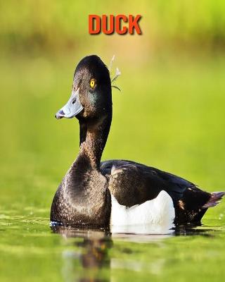 Book cover for Duck