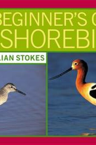 Cover of Stokes Beginner's Guide to Shorebirds