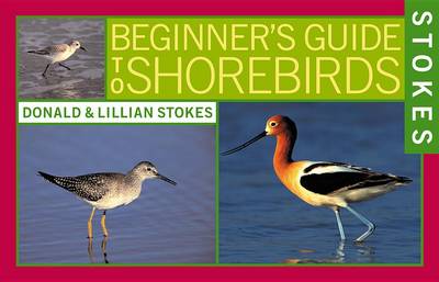 Book cover for Stokes Beginner's Guide to Shorebirds