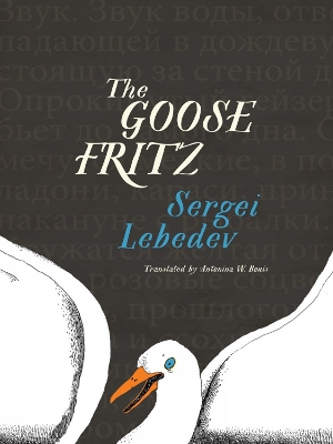 Book cover for The Goose Fritz