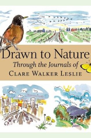 Cover of Drawn to Nature