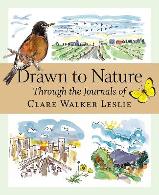 Book cover for Drawn to Nature