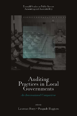 Cover of Auditing Practices in Local Governments