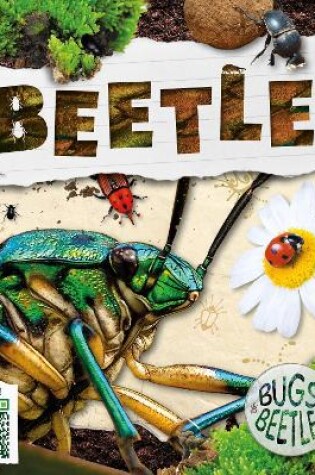 Cover of Beetles