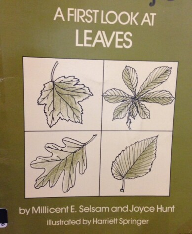 Book cover for A First Look at Leaves,