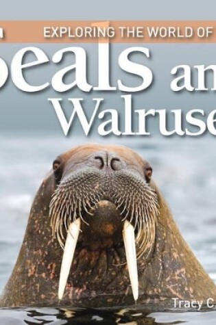 Cover of Exploring the World of Seals and Walruses