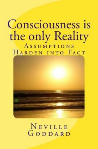 Cover of Consciousness is the only Reality.