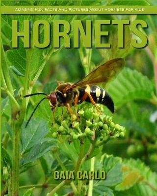 Book cover for Hornets