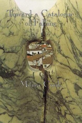 Cover of Toward a Catalogue of Falling