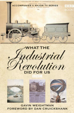Cover of What The Industrial Revolution Did For Us