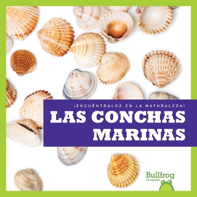 Cover of Las Conchas Marinas (Seashells)