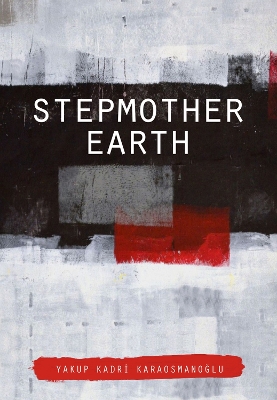 Book cover for Stepmother Earth