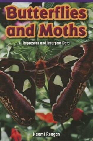 Cover of Butterflies and Moths