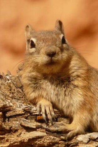 Cover of Golden Mantled Ground Squirrel Lounging, for the Love of Animals