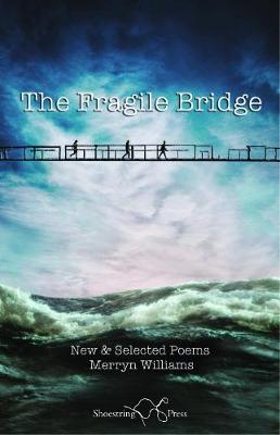 Book cover for The Fragile Bridge
