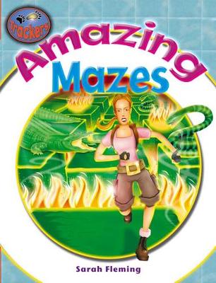 Book cover for Amazing Mazes