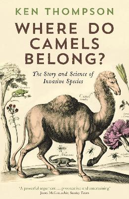 Book cover for Where Do Camels Belong?