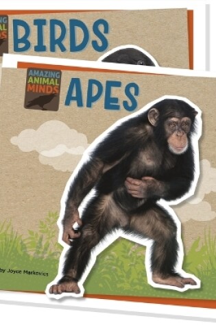 Cover of Amazing Animal Minds (Set)