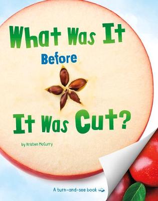 Book cover for What Was It Before It Was Cut?