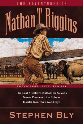 Book cover for The Adventures of Nathan T. Riggins