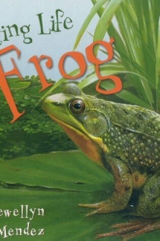 Cover of Starting Life: Frogs