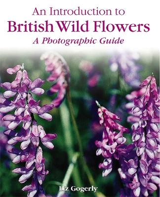 Book cover for An Introduction to: British Wild Flowers